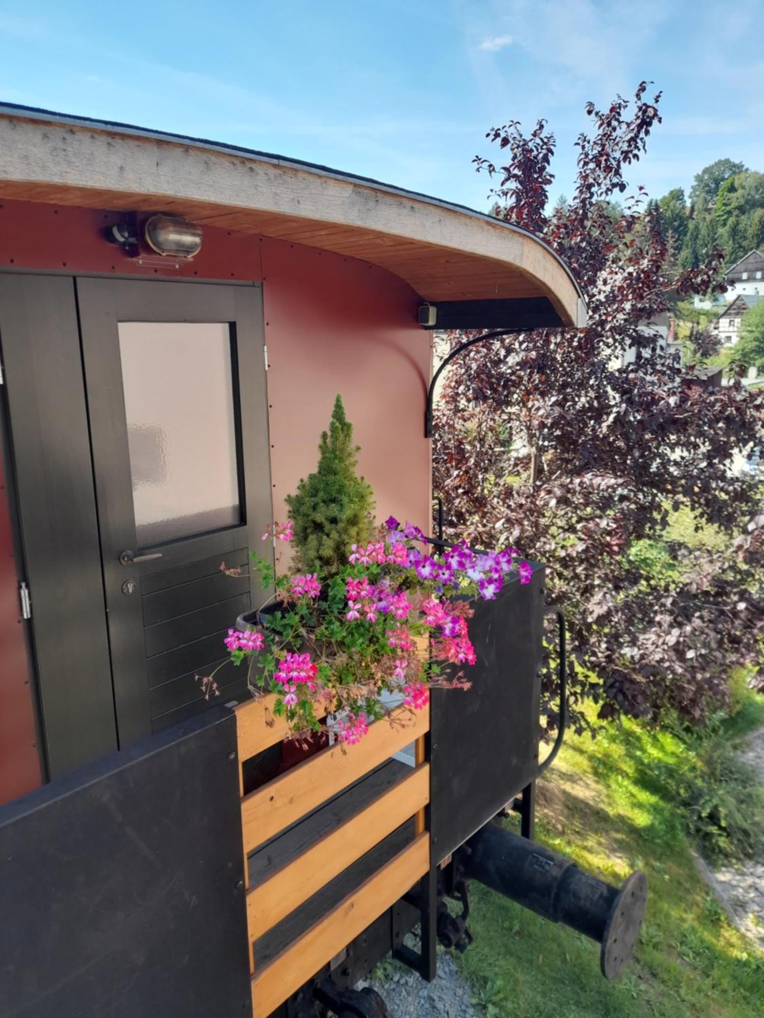 Ferienwohnungen am Schmalzbach Heinsdorfergrund Exterior foto