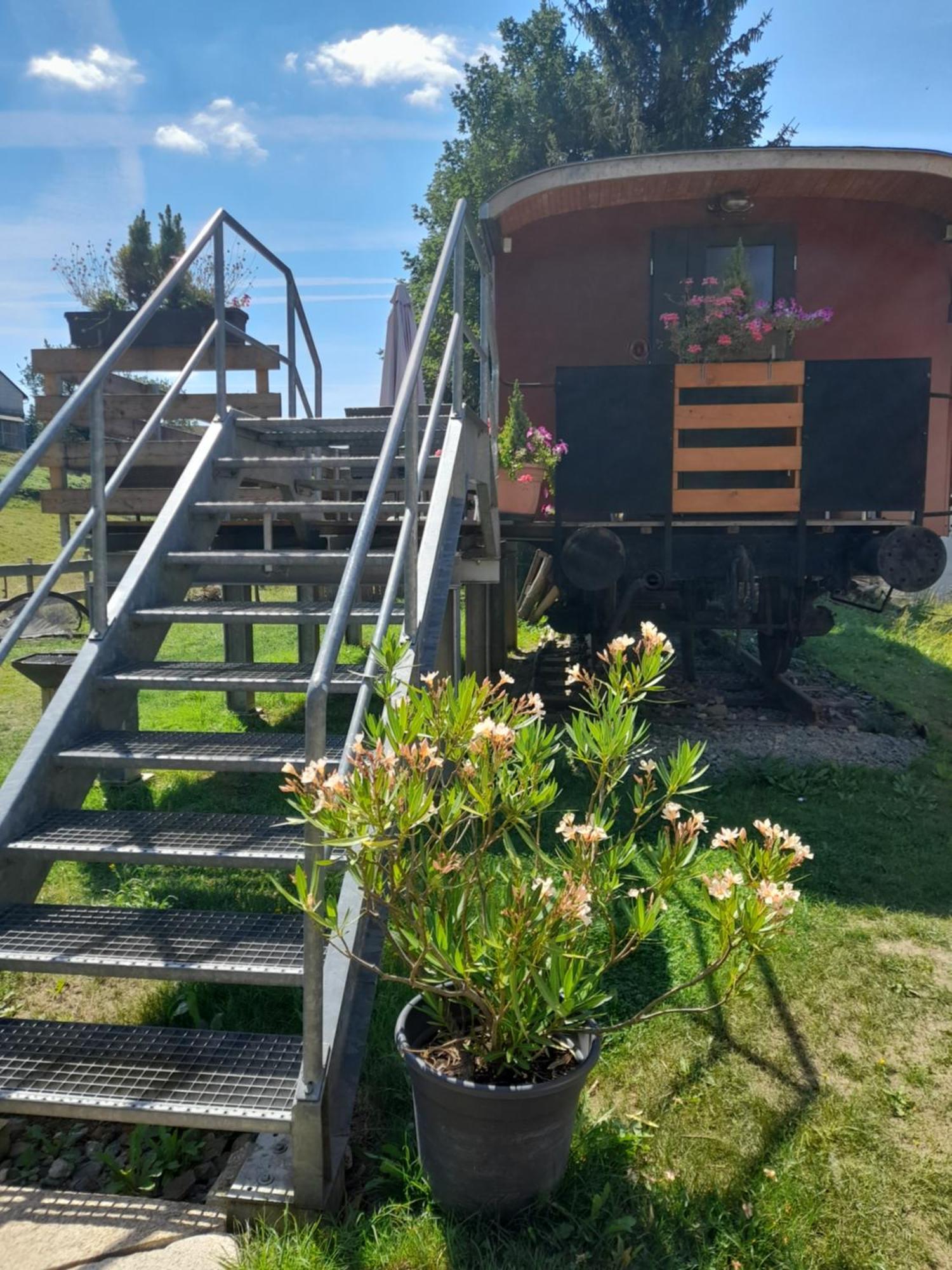 Ferienwohnungen am Schmalzbach Heinsdorfergrund Exterior foto